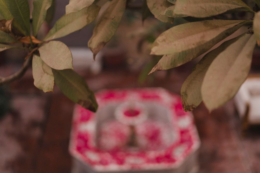 Close-up detail of a stone fountain basin scattered with pink rose petals, Ahmed & Laraib's wedding at Barood Khana Haveli, Lahore