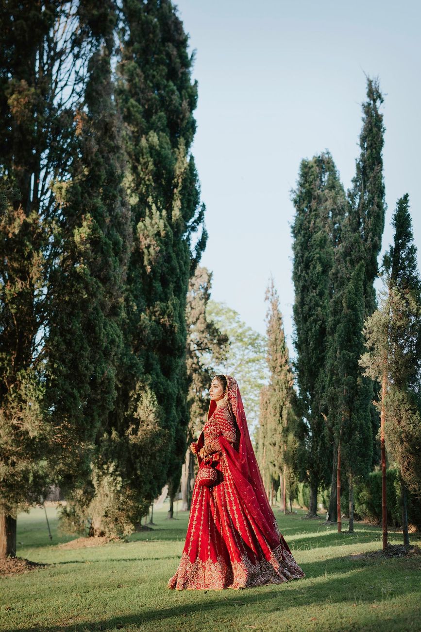 Solo bridal portrait in a red lehenga walking among tall cypress trees at golden hour, Maham & Aurangzeb's wedding