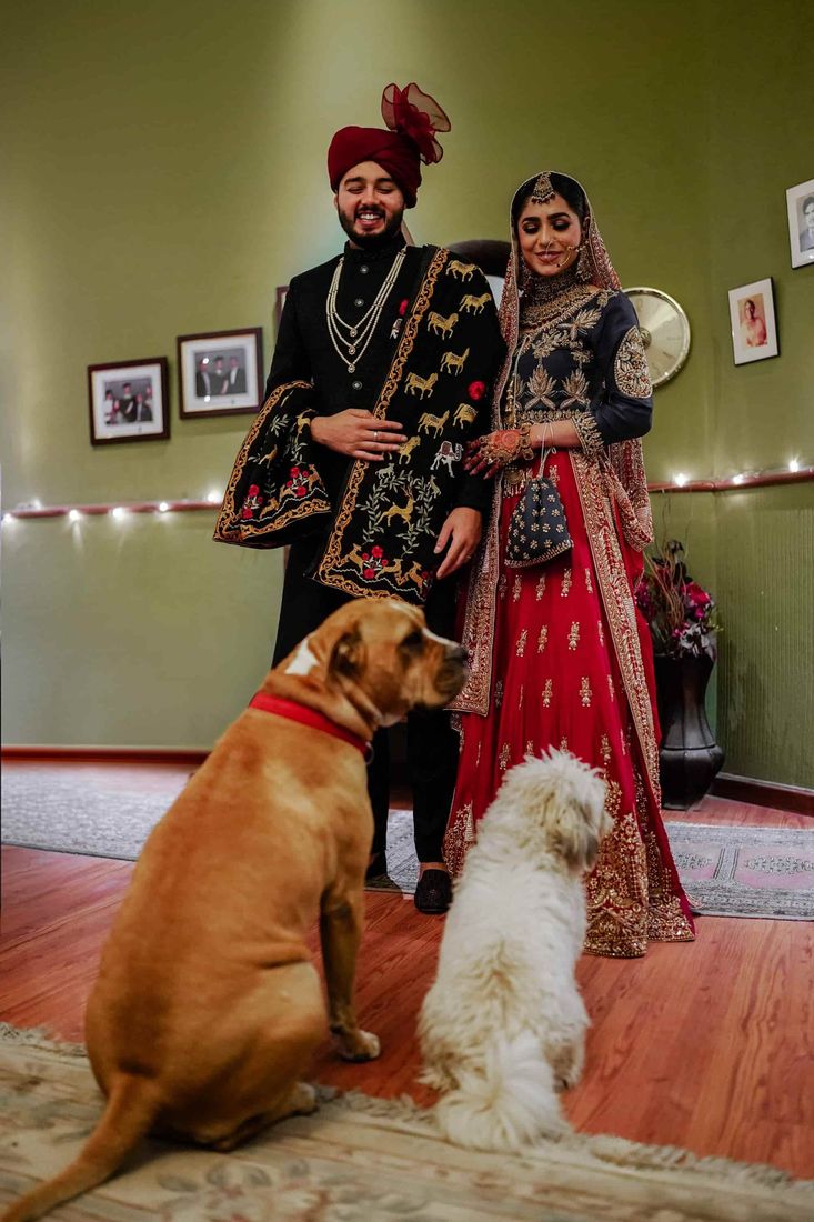 Bride and groom smiling down at their two pet dogs at home before the ceremony