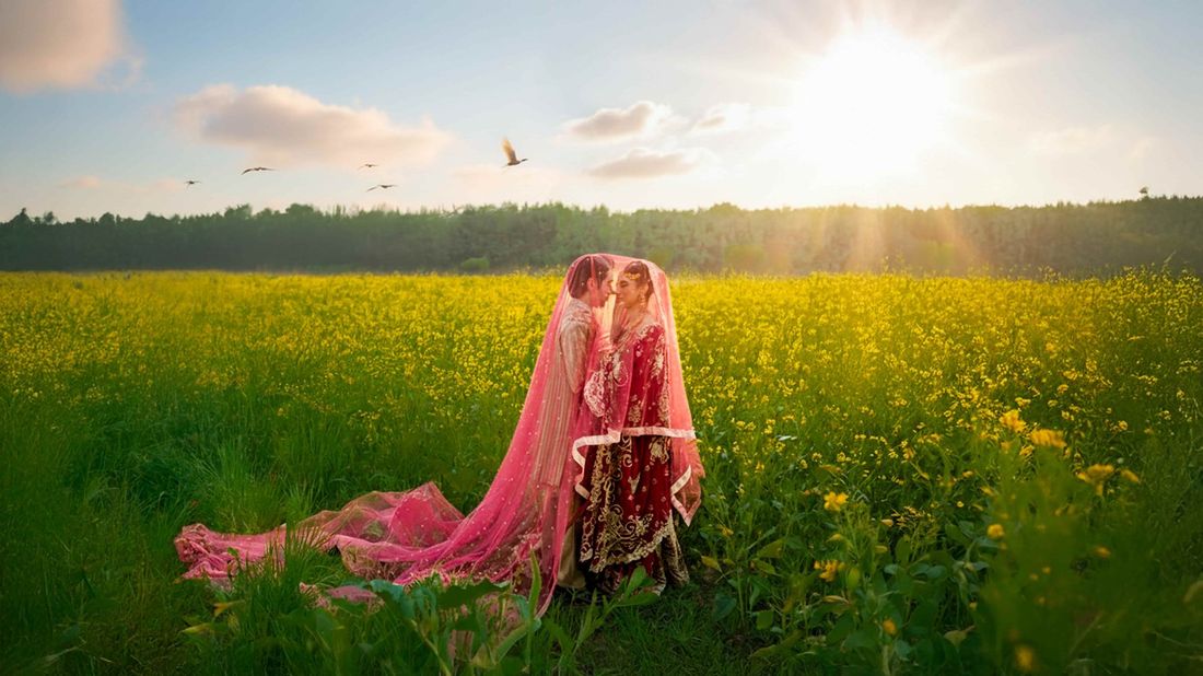 Bride and groom sharing a kiss beneath a shared pink veil in a sunlit mustard field, birds flying overhead